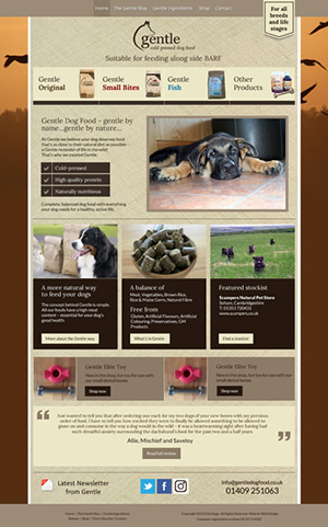 Gentle Dog Food Web Design